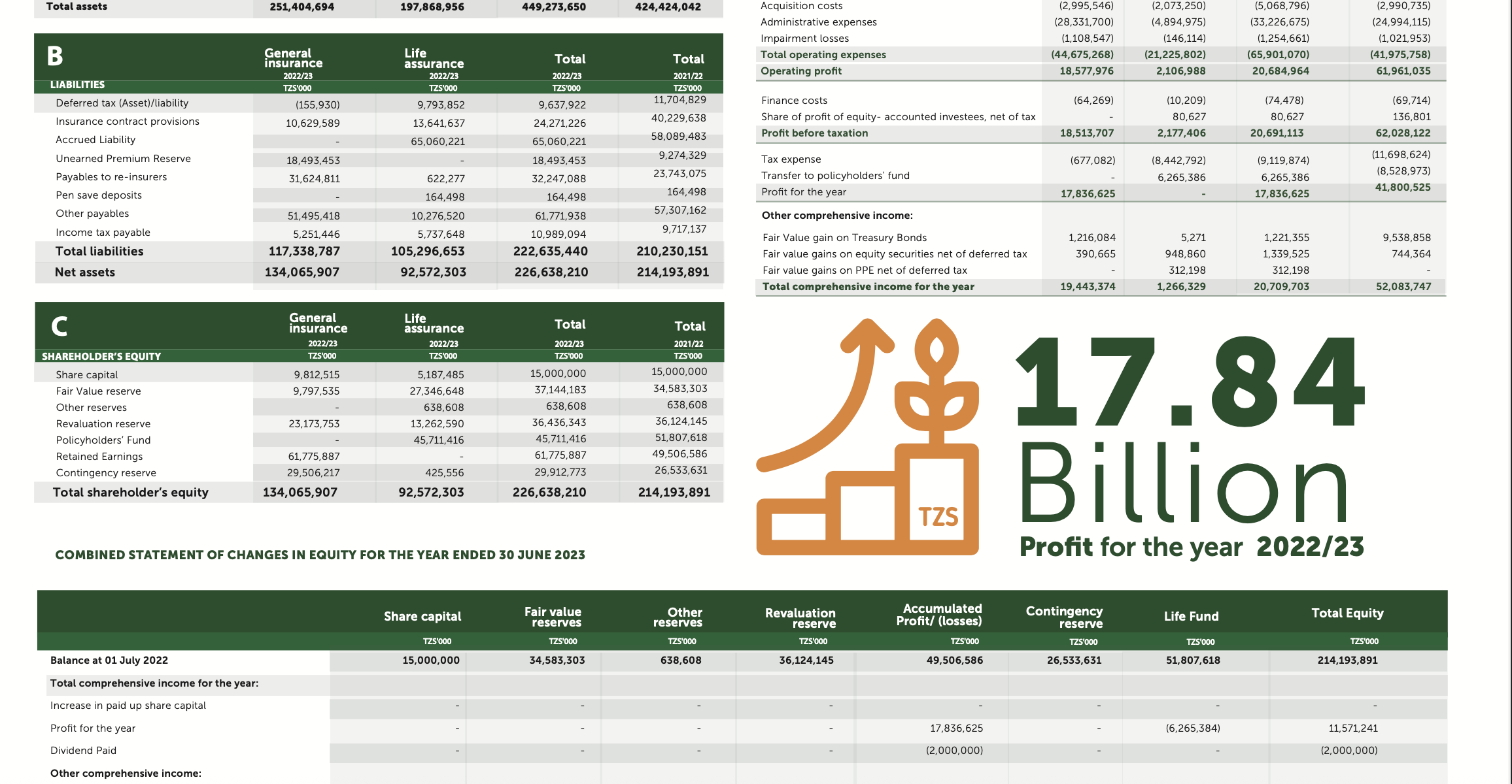  Why NGO And Nonprofit Websites Matter: A Case Study with Women Fund Trust Tanzania 